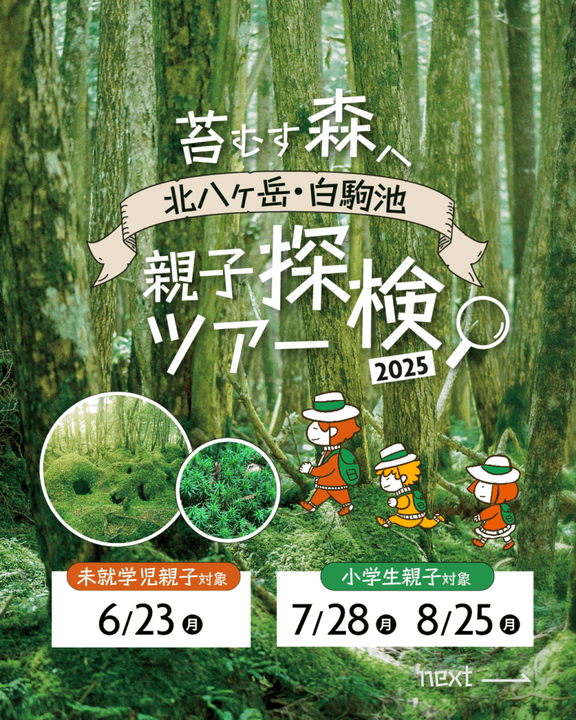 2025年　登山ツアー情報